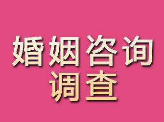 新田婚姻咨询调查